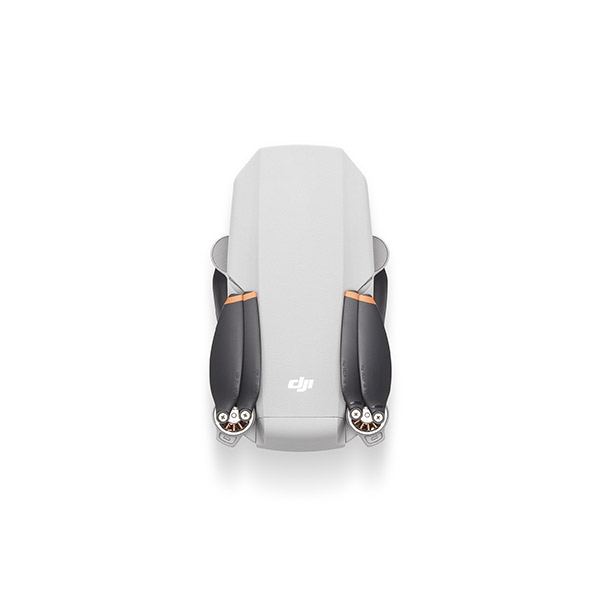 main_5.600x600