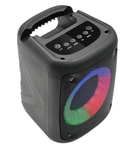 PF_B4981